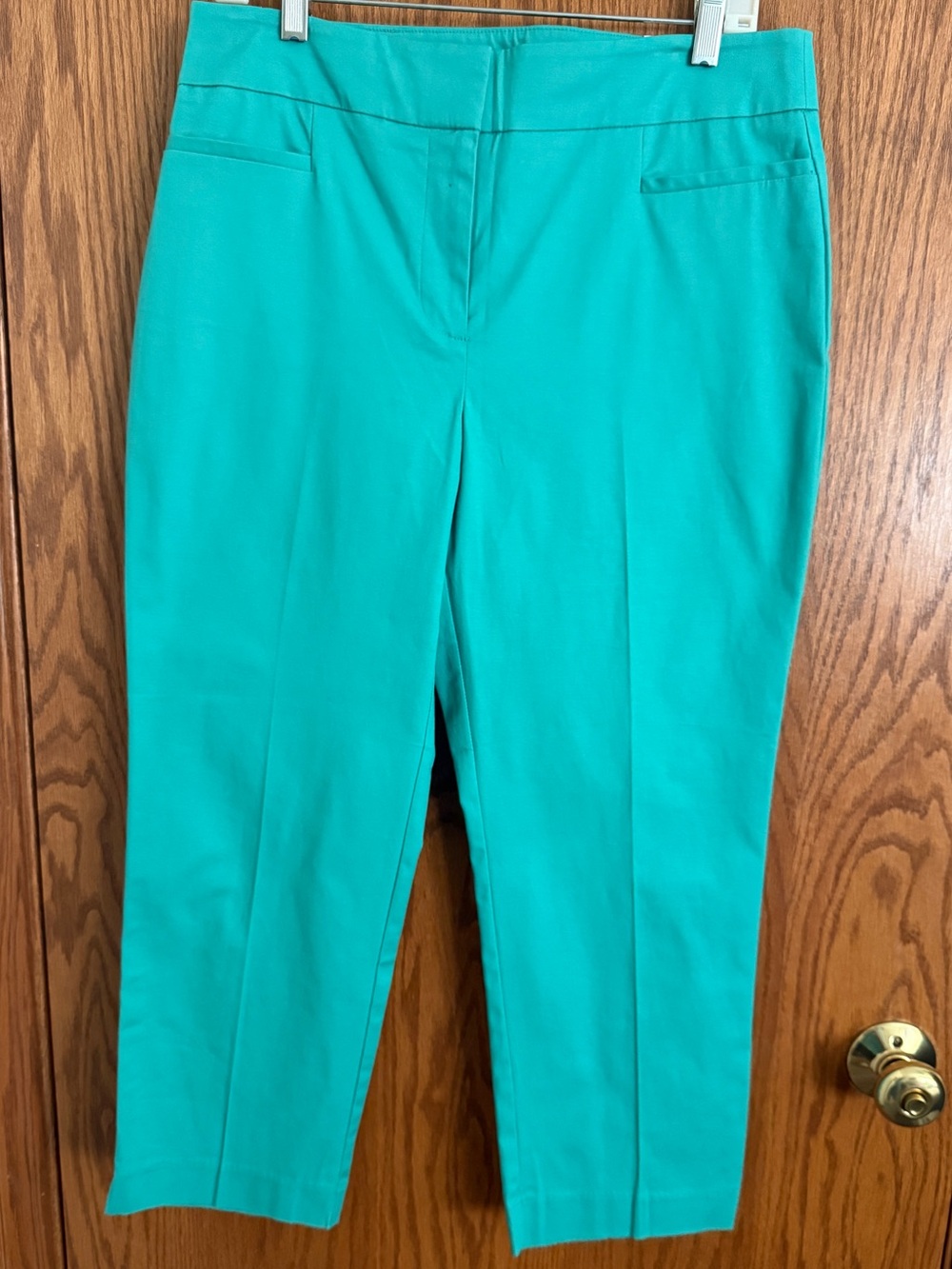 Ann Taylor The Crop Teal Green Ankle Pants Mid Rise Slim Leg Women's Size 8 NWT